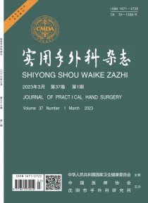 实用手外科杂志